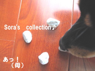 c0185516_10542133.jpg
