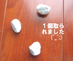 c0185516_10543353.jpg