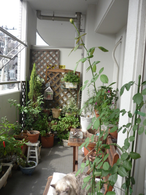 c0193017_1445513.jpg