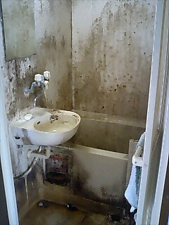 e0091220_1443224.jpg