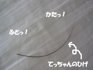 f0143123_2034296.jpg