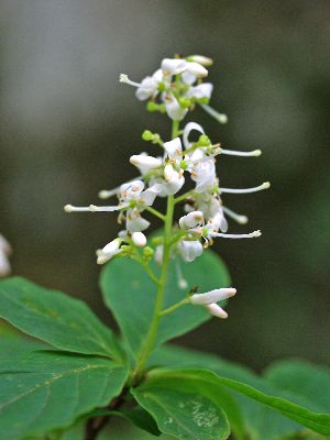 c0104227_21365835.jpg