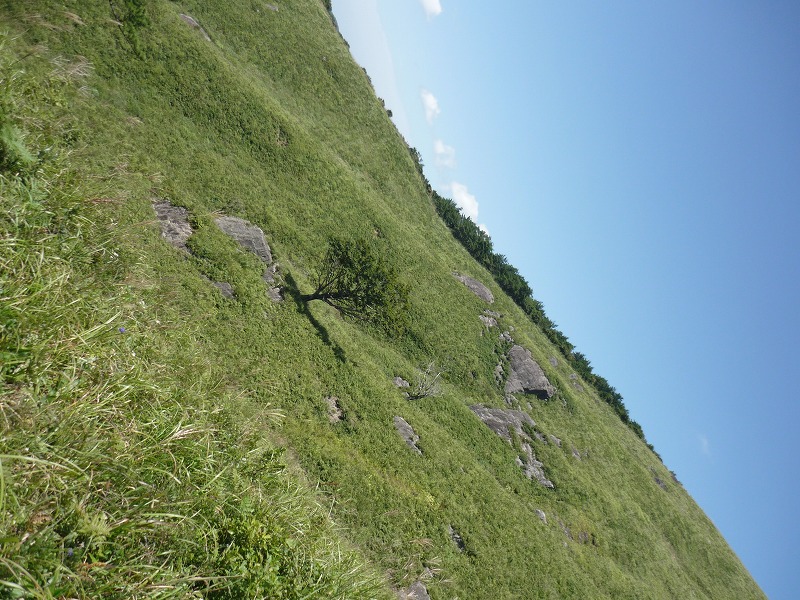 e0182728_13335413.jpg