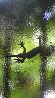 c0126832_215160.jpg