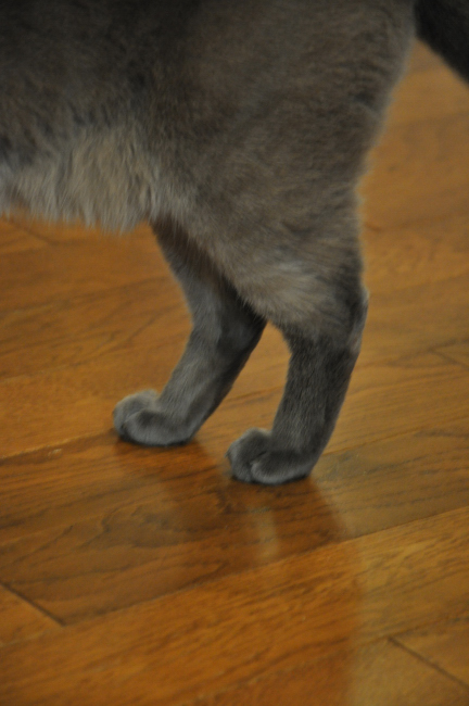 c0133533_133052.jpg