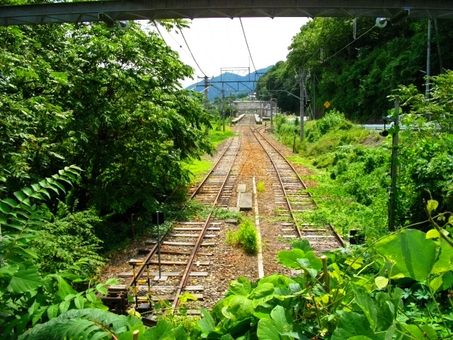 c0101739_2211299.jpg