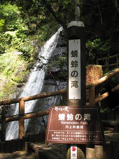 a0132041_8455122.jpg