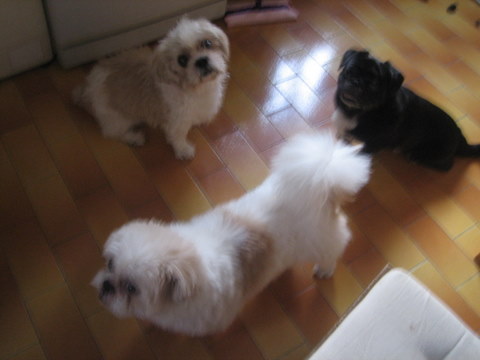 e0018143_15462323.jpg