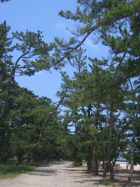 b0174844_23263491.jpg