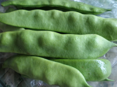 c0153444_7174181.jpg