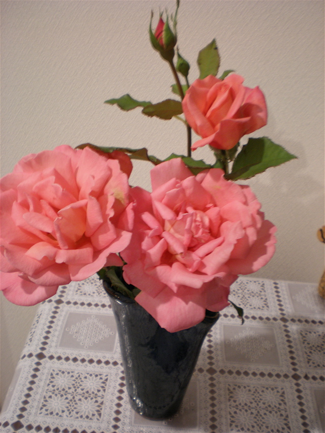 c0153444_7291837.jpg