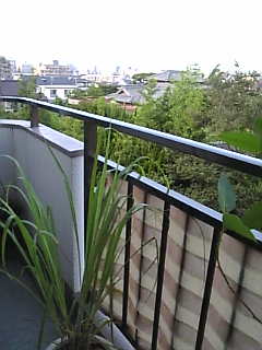 f0140145_17421456.jpg