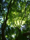 e0110047_13595178.jpg