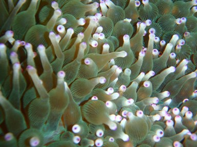 e0065350_12555442.jpg
