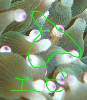 e0065350_1257348.jpg