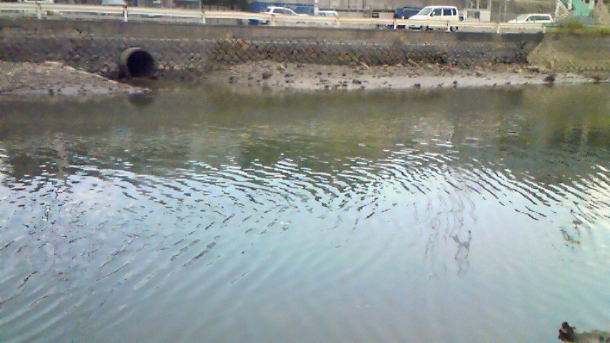 c0019951_21565413.jpg