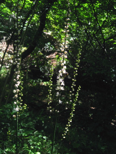 c0179351_2103975.jpg