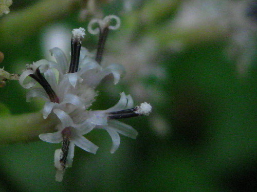 c0179351_2125127.jpg