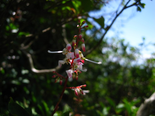 c0179351_2165347.jpg