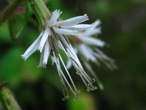 c0179351_2184866.jpg