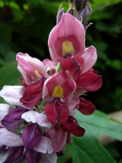 b0104861_21134658.jpg