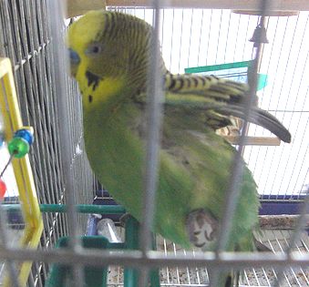 f0196665_23383170.jpg
