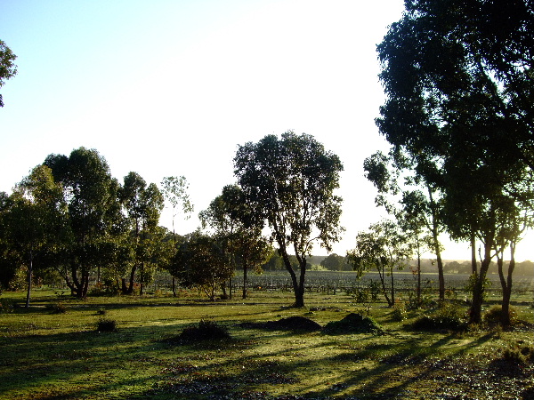 b0085766_014688.jpg