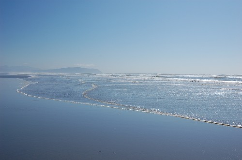 e0128367_2331496.jpg