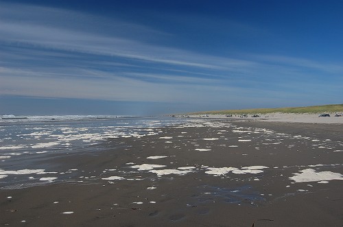 e0128367_2333581.jpg