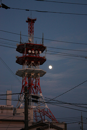 c0104371_1144638.jpg