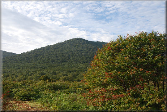 e0099375_122134.jpg