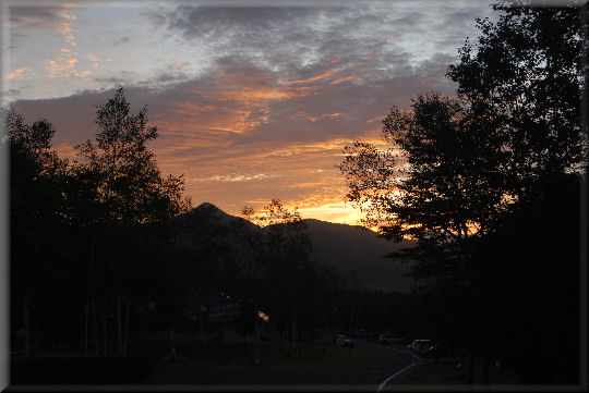 e0099375_1252741.jpg
