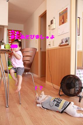 c0174077_902938.jpg