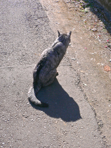 e0112077_335592.jpg