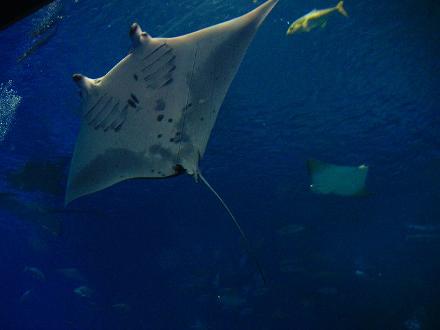 c0160387_8105666.jpg