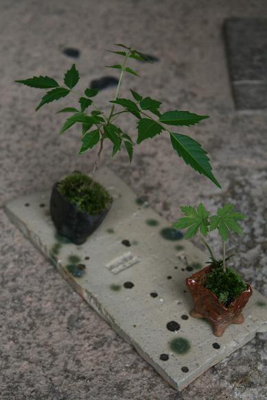 c0069389_1340228.jpg