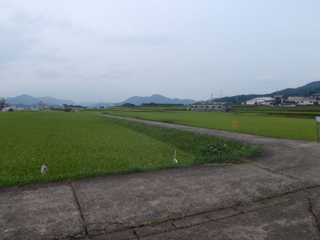 d0111489_1205016.jpg