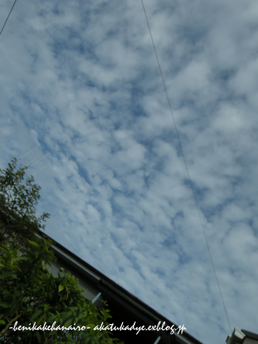 f0155990_9594398.jpg