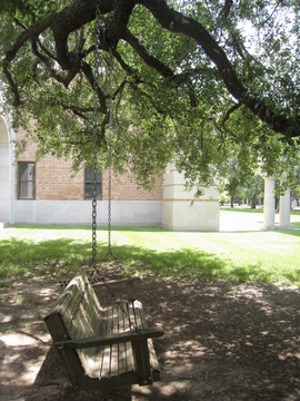 f0121591_1635073.jpg