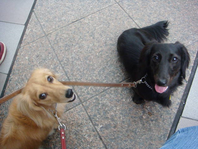 d0098295_032071.jpg