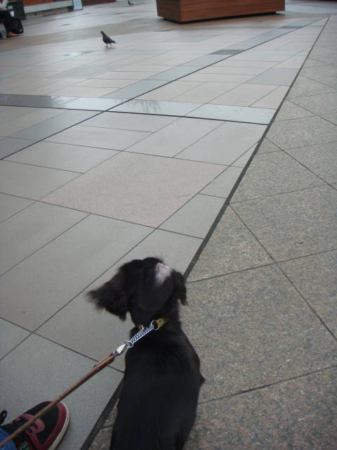 d0098295_061068.jpg