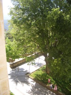 b0184396_028418.jpg