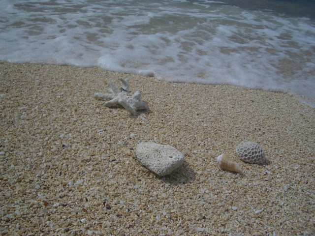 c0193396_11303716.jpg