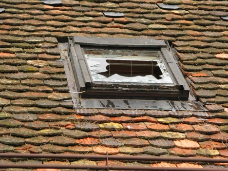 a0034198_1839207.jpg