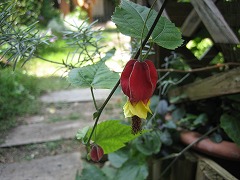 c0196701_10225732.jpg