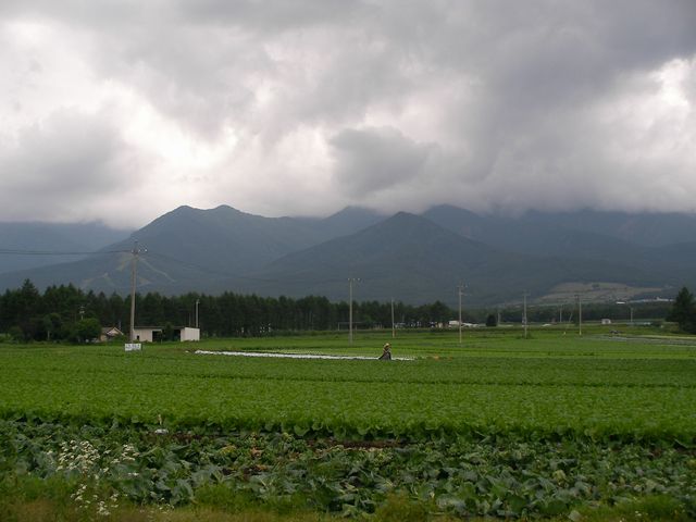 d0004301_22451989.jpg