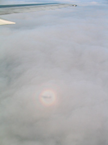 a0067702_17233598.jpg