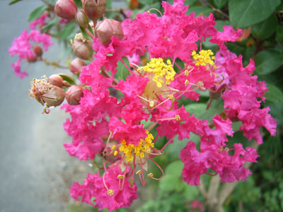 c0017802_16553912.jpg