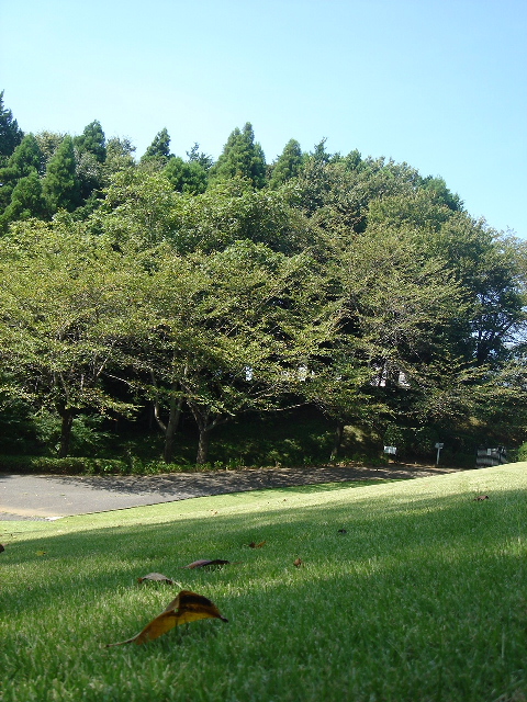 c0047602_21313874.jpg