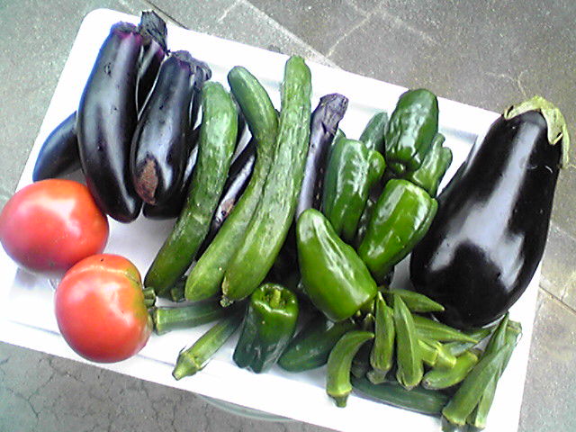 f0079202_1938399.jpg
